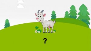 Pre A1 Fun for Starters - Animal vocabulary Cambridge English YLE Exams