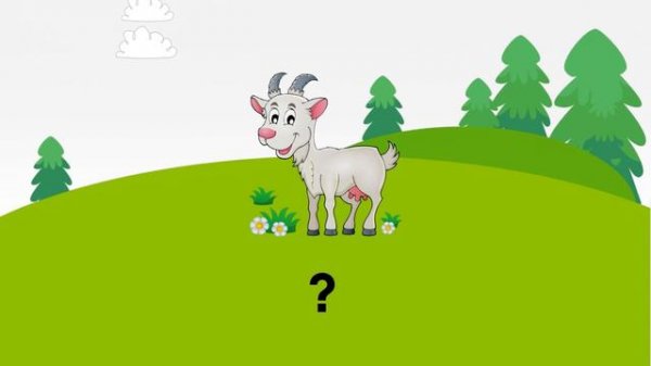 Pre A1 Fun for Starters - Animal vocabulary Cambridge English YLE Exams