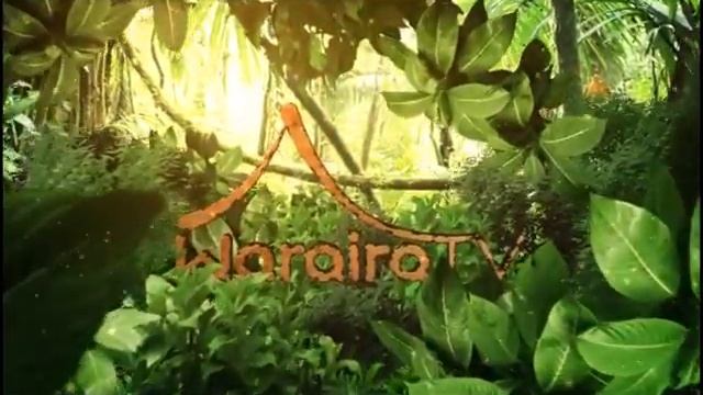 Promo 3 - Waraira TV смотреть онлайн