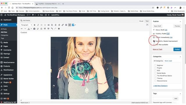 A general overview of WordPress (Posts, Pages & Menus) смотреть онлайн