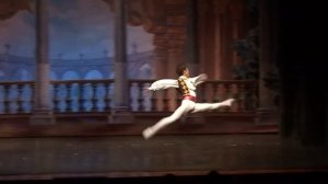 Russian National Ballet.Tchaikovski Gala.русский национальный балет Сергея Радченко.