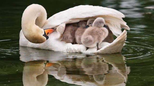 Притча. Вещи не такие, какими кажутся. смотреть онлайн