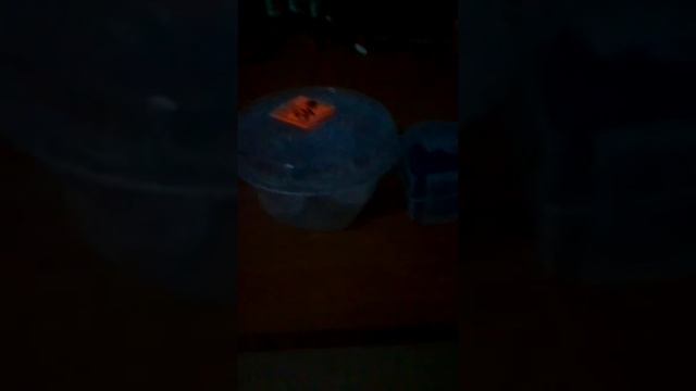 Капы для бокса