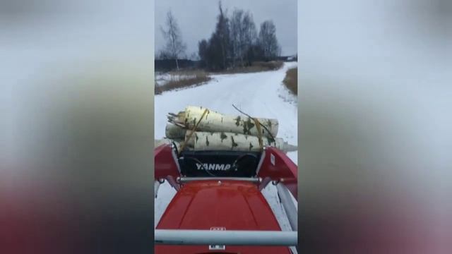 Говённый кун,Pashin. но такой помощник!