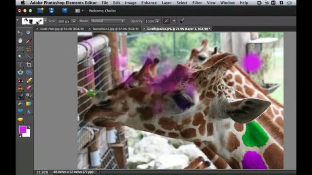 Learn Photoshop Elements Lesson #5 смотреть онлайн