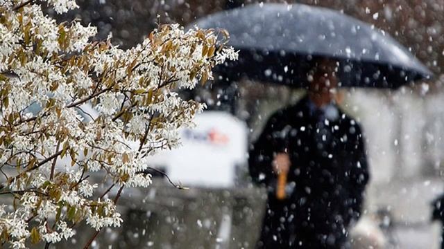 ПЕРВЫЙ СНЕГ смотреть онлайн