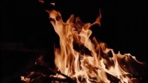 Пока мы лиц не обрели! Роман. Часть 2. Чтение у камина
