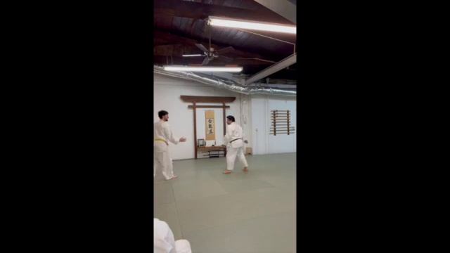 Aikido Exam Kai Starn 5th kyu SD 480p смотреть онлайн