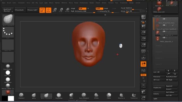 ZBrush Tutorial: Head / Face Proportions