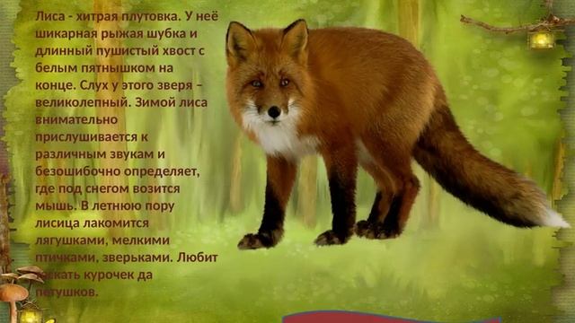 Средняя Б группа "Дикие животные" смотреть онлайн