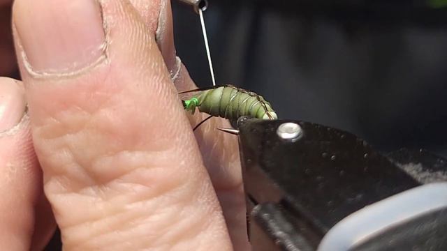 Caddis Pupa.Fly Tying Caddis Pupa. Куколка ручейника. смотреть онлайн