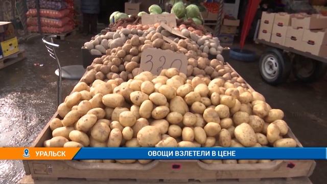 Овощи взлетели в цене в Уральске смотреть онлайн