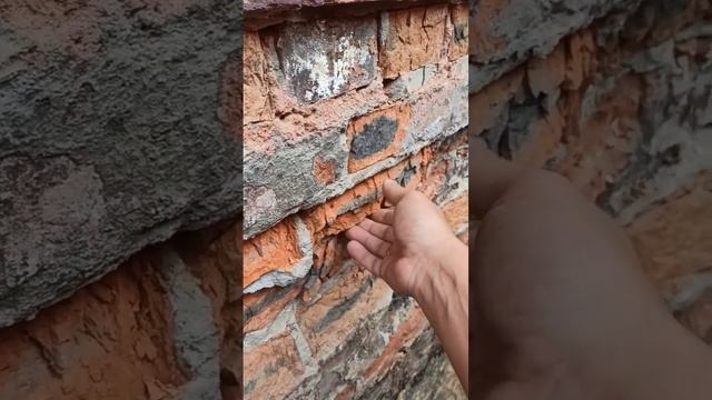 Ужасающие  последствия отсутствия гидроизоляции, утепления и отмостки