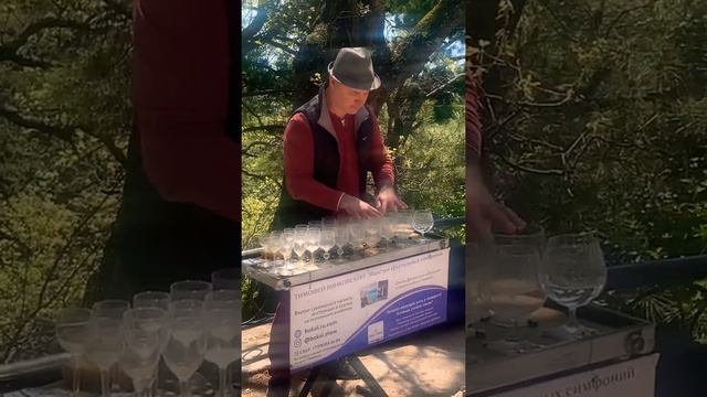 Марш Мендельсона на рюмках / Музыка на хрустальных бокалах / Хрустальная гармония смотреть онлайн