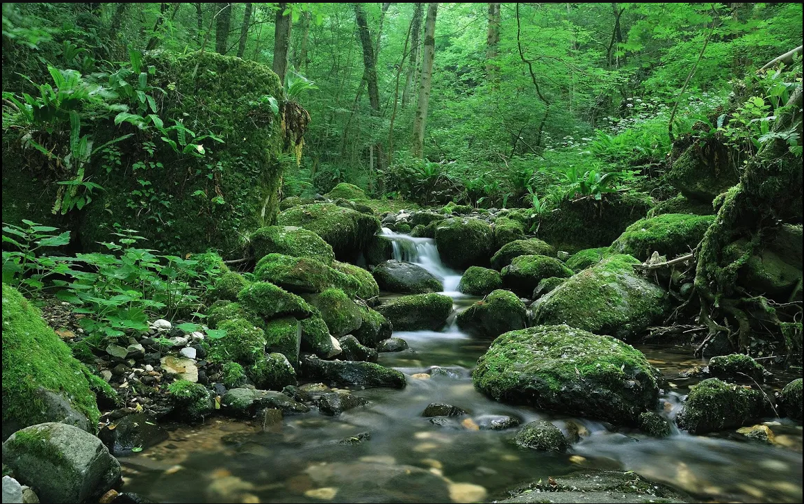 Расслабляться. Пение птиц, водопад и дождь 90 мин. Relax. Relax. Birdsong, Waterfall And Rain 90 Min