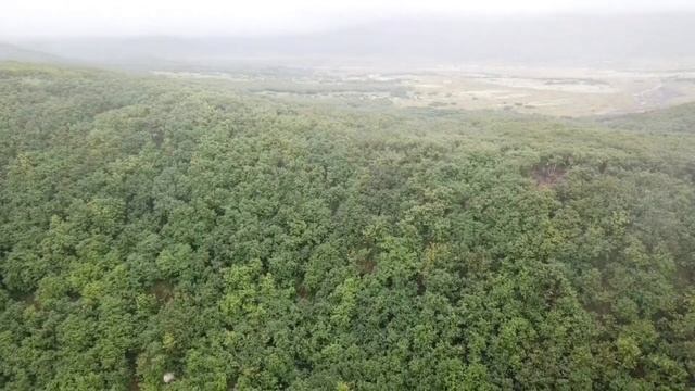 Медвежья чаша смотреть онлайн