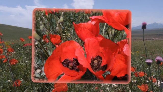 Пейзажи Горной Армении. смотреть онлайн
