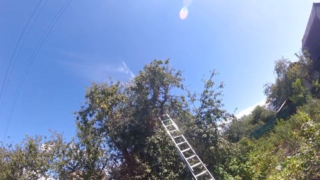 ПОЧЕМУ вышел РОЙ. КАК снять. смотреть онлайн