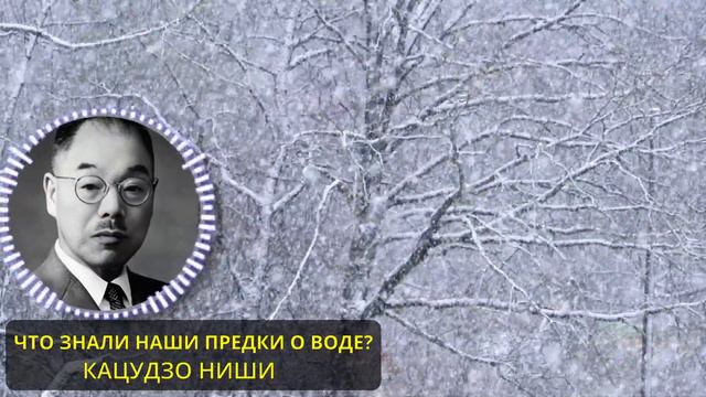 ЭТО РАБОТАЕТ НА 100%! ВЕРНИ И СОХРАНИ ЗДОРОВЬЕ С ПОМОЩЬЮ ВОДЫ! СОВЕТЫ ЯПОНСКОГО УЧЕНОГО КАЦУДЗО НИШ смотреть онлайн