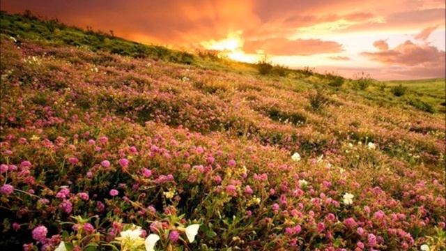 Что зовем мы Родиной смотреть онлайн