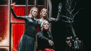 ЖЕЛЕЗНОВА ВАССА МАТЬ_Проморолик спектакля СГАТД