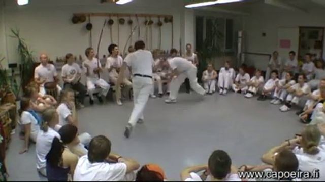 Tubarão with Gafanhoto смотреть онлайн