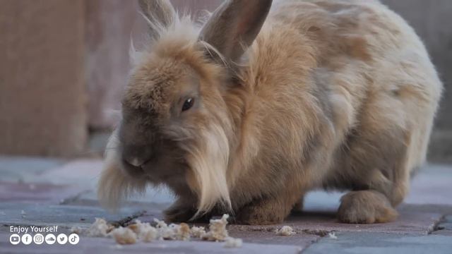 Расслабляющая музыка успокаивает нервы 🌿 Музыка лечит болезни сердца и восстанавливает здоровье #17 смотреть онлайн