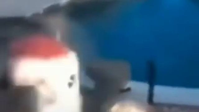 Дятел стучит в камеру смотреть онлайн