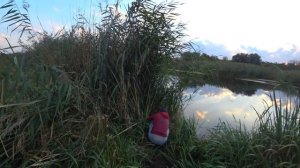 ЛОВЛЯ РАКА НА САМОДЕЛЬНЫЕ РАКОЛОВКИ/САМОДЕЛЬНЫЕ РАКОЛОВКИ ИЗ БУТЫЛОК/#рыбалка2022#ловлярака