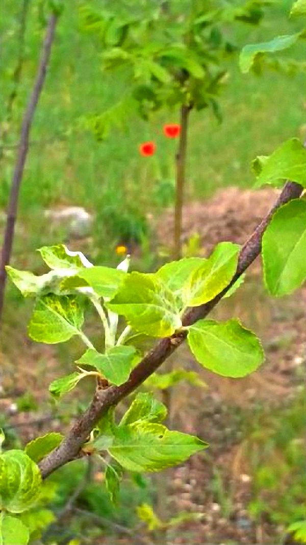 #На пригорке смотреть онлайн