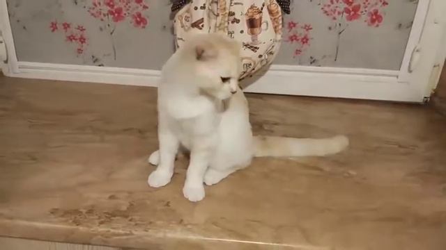 Мармелад 2 смотреть онлайн