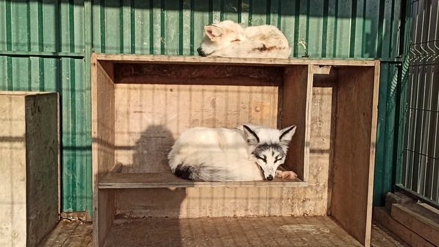 После завтрака??❤ смотреть онлайн