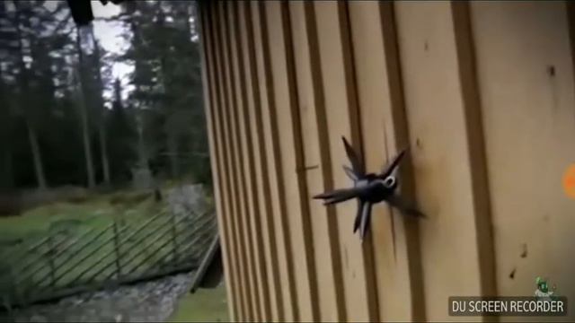 Топ 10 самых крутых лезвий смотреть онлайн