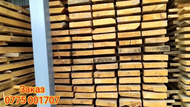 ТАКТА Жыгач БААСЫ / Россиядан келет / 21 июнь 2022