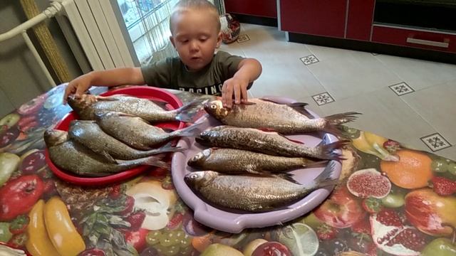 Мой улов.mp4