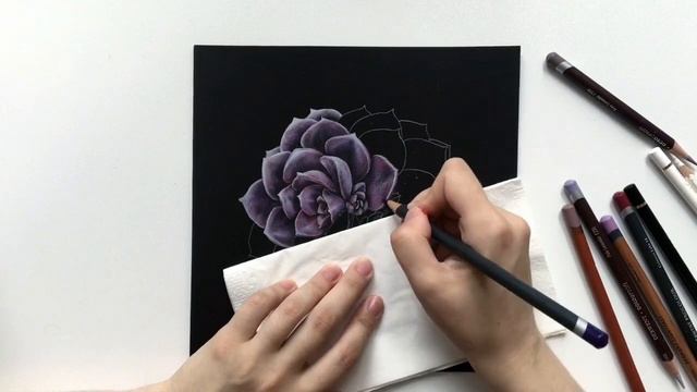 Суккуленты. Рисуем карандашами Derwent смотреть онлайн