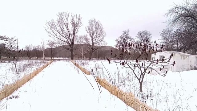 Горловка. Шурф смерти.           25.02.23г.