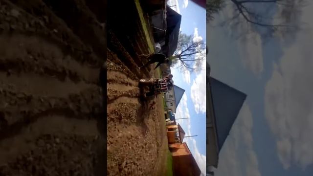 Самодельный трактор из мотоблока смотреть онлайн
