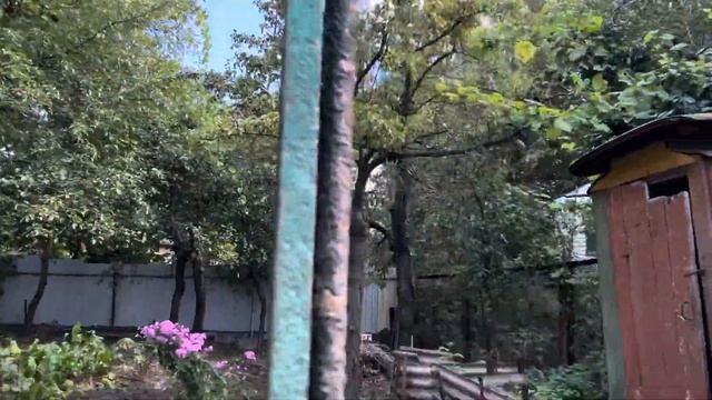 ХАРЬКОВ 4.09.23 СРОЧНО ЗАПАСАЕМСЯ…. смотреть онлайн