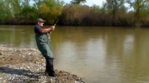 Ловля СОМА с берега !!