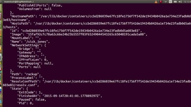 Docker Inspect смотреть онлайн