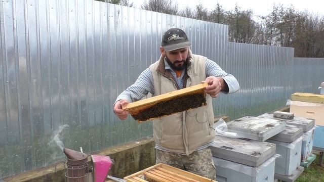 Ревизия в проблемной пчелосемье 17.11.2020 смотреть онлайн