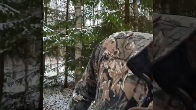 Сбор грибов в снежном лесу смотреть онлайн