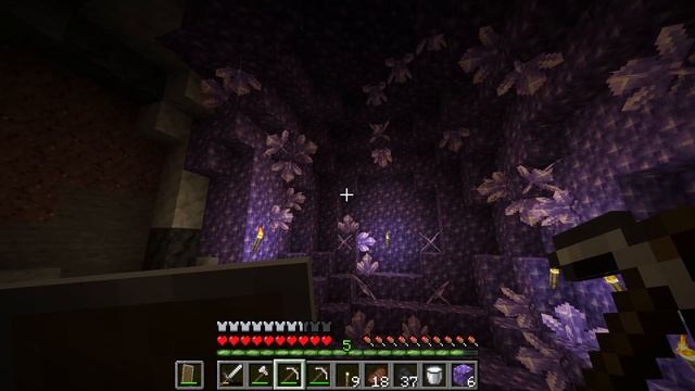 I Found The Rarest Location In Minecraft | Java Edition 1.17? смотреть онлайн