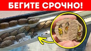 Если вы увидите это на стене, будьте осторожны (и я серьёзно)