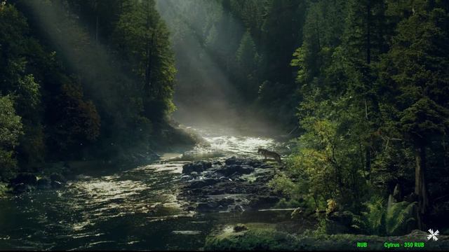 Пара допов, потом Отец смотреть онлайн
