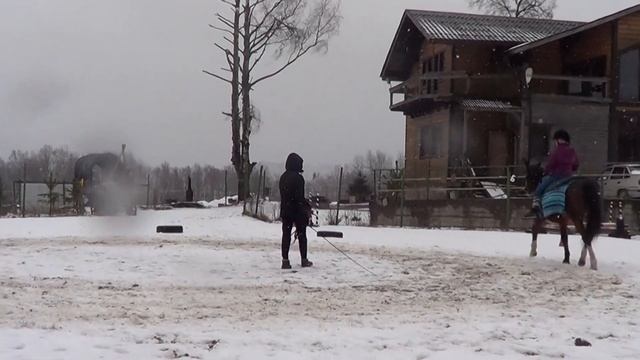 Детская учебная вольтижировка.