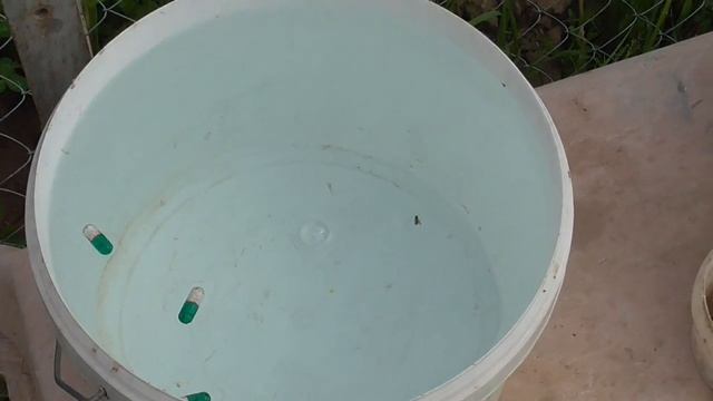 Клубнику опрыскиваем энергеном. смотреть онлайн