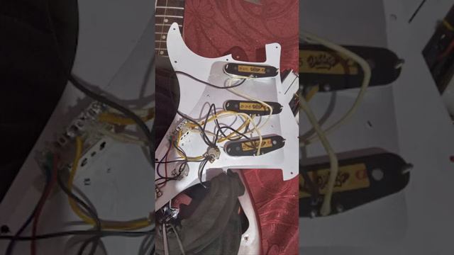 Probando una Newen con microfonos Diliberto Alnico 3+5 смотреть онлайн