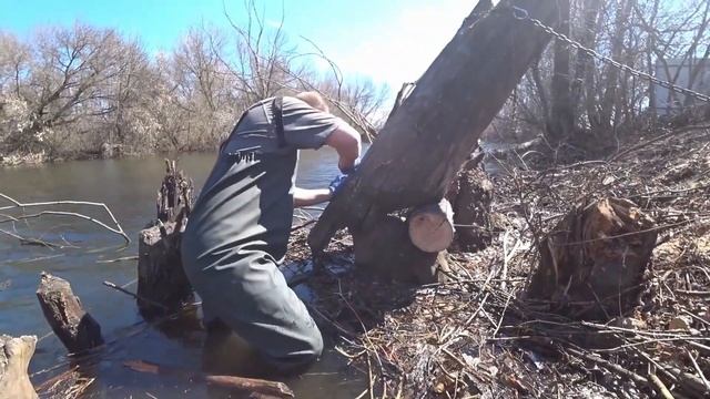 Ультратонкая ножовка для распила дубов смотреть онлайн